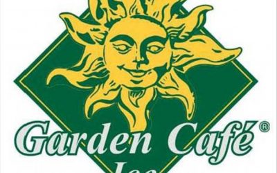 Réalisation identité sonore Garden Ice Café